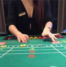 b8bet